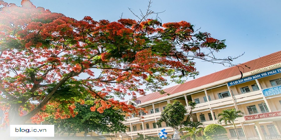 Lời Bài Hát "Mùa Hè Yêu Thương"