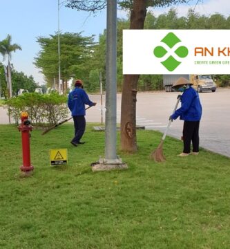 Dịch Vụ Chăm Sóc Cảnh Quan Tại KCN Bình Dương