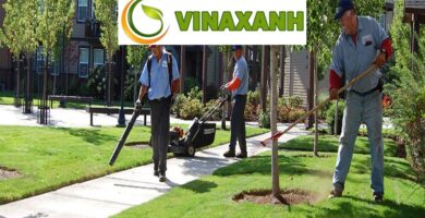 Chăm Sóc Cảnh Quan tại TP Hồ Chí Minh