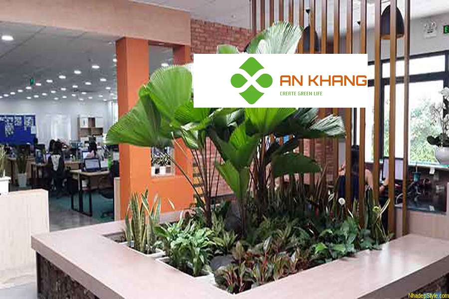 Cho Thuê Cây Văn Phòng Tại Bến Cát Bình Dương