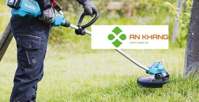 Giới Thiệu Dịch Vụ Cắt Cỏ Tại Bình Dương