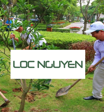 Dịch Vụ Trồng Cây Xanh Tại Long An