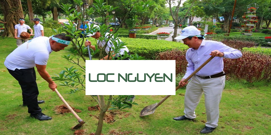 Dịch Vụ Trồng Cây Xanh Tại Long An