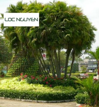 Thiết Kế Công Trình Cây Xanh Bến Lức Long An