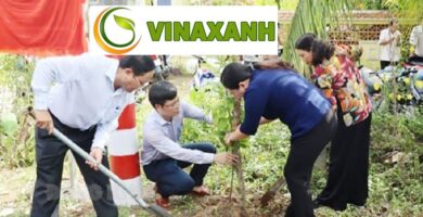 Dịch Vụ Trồng cây xanh tại Tân BìnhTP.HCM