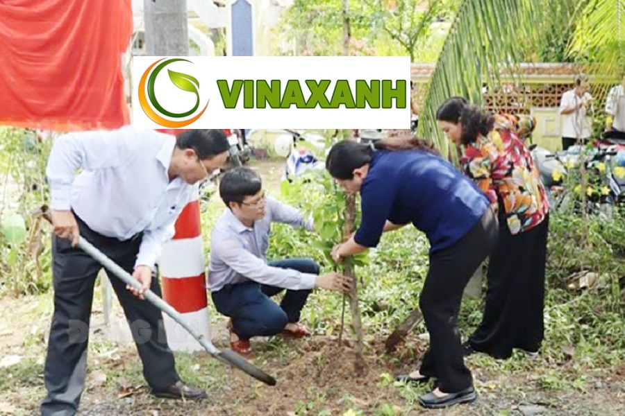 Dịch Vụ Trồng cây xanh tại Tân BìnhTP.HCM