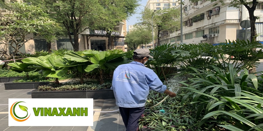 Chăm Sóc Cảnh Quan Quận 1 TP.HCM