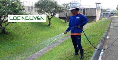 Giới Thiệu Công Ty Chăm Sóc Cây Xanh Long An