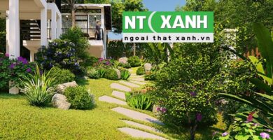Giới Thiệu Dịch vụ trồng cây cảnh tại Châu Thành Tây Ninh