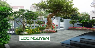 Thiết Kế Công Trình Cây Xanh Long An