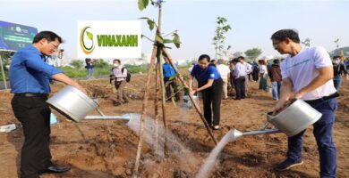 Trồng Cây Xanh TPHCM