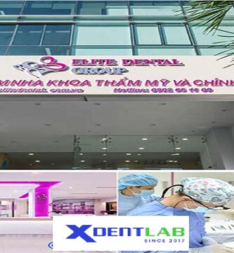 Vietnam Dental Laboratories District 1 Ho Chi Minh City