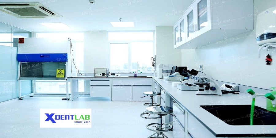 Vietnam Dental Labs District 6 Ho Chi Minh City