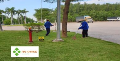 Chăm Sóc Cây Xanh KCN Tại Bình Dương