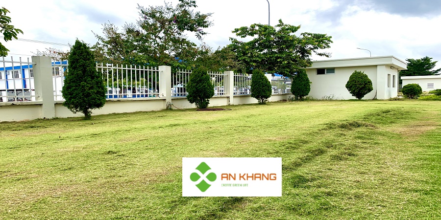 Dịch Vụ Cắt Cỏ KCN Tại Bình Dương