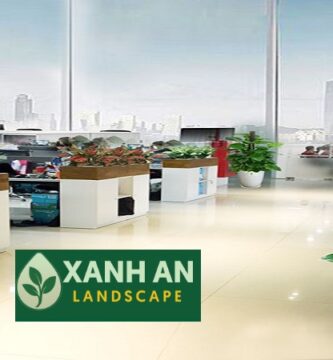 Dịch Vụ Thuê Cây Văn Phòng Dĩ An