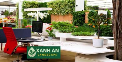 Dịch Vụ Thuê Cây Văn Phòng Tân Uyên
