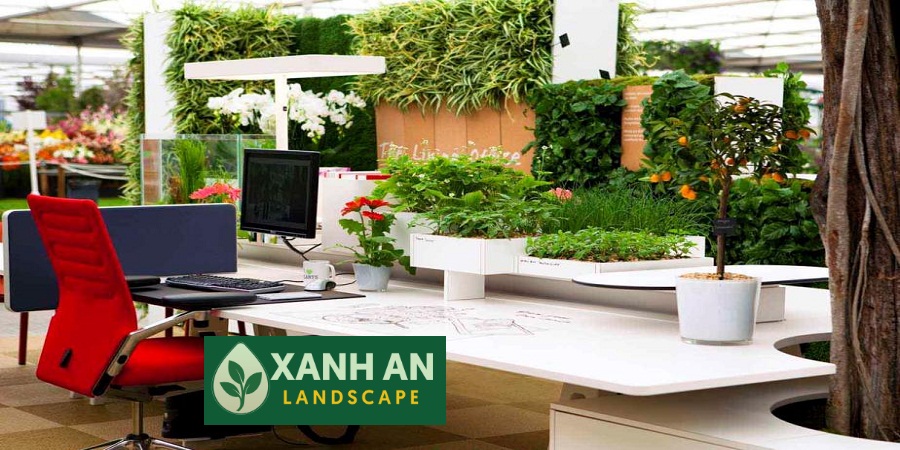 Dịch Vụ Thuê Cây Văn Phòng Tân Uyên