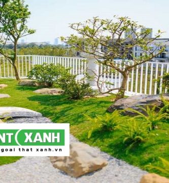 Dịch Vụ Trồng Cây Cảnh Long An