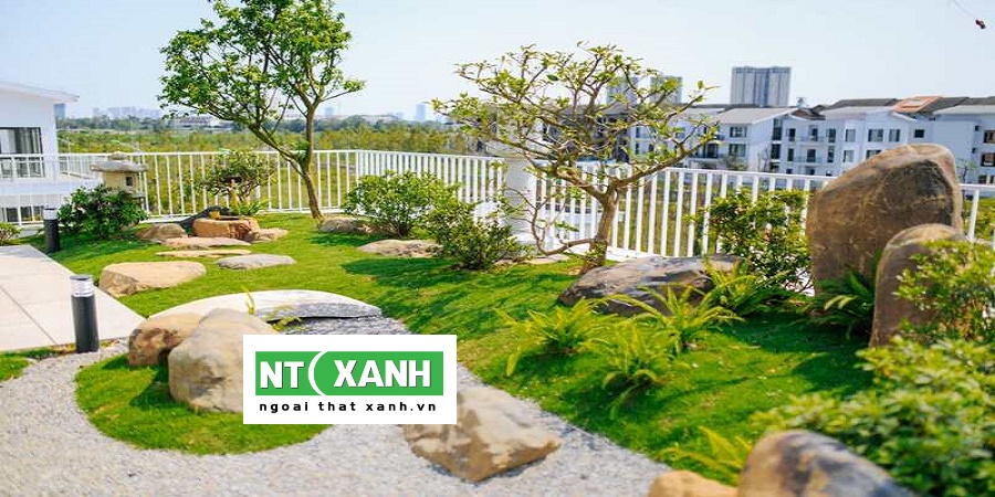 Dịch Vụ Trồng Cây Cảnh Long An