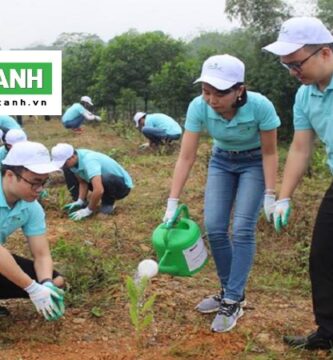 Dịch Vụ Trồng Cây Xanh tphcm