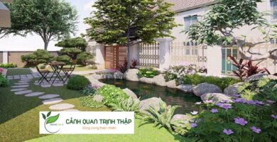 Thi Công Tiểu Cảnh Sân Vườn Tại Hà Nội