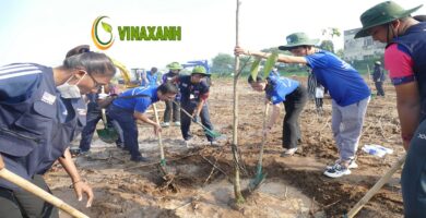 Trồng cây xanh quận 2 TPHCM