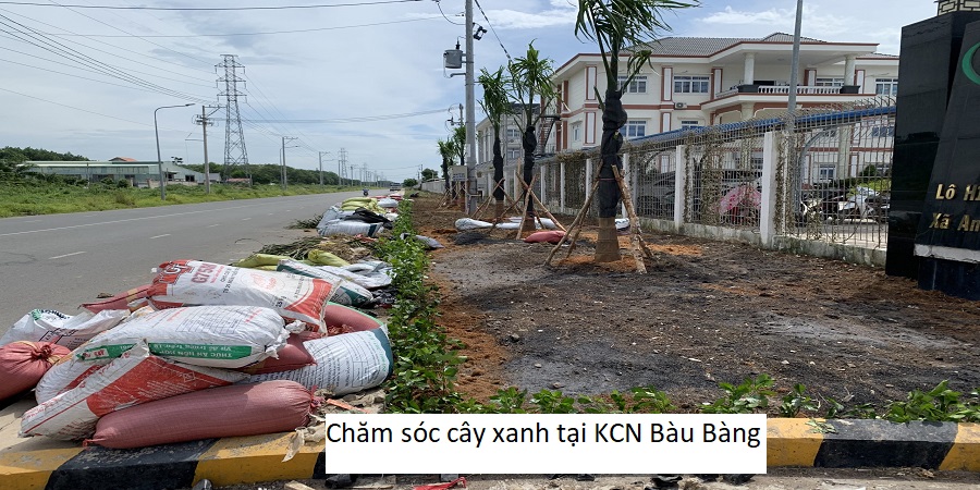 Chăm sóc cây xanh tại KCN Bàu Bàng