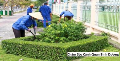 Chăm Sóc Cảnh Quan Bình Dương