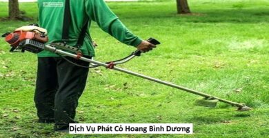 Dịch Vụ Phát Cỏ Hoang Bình Dương