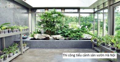 Thi công tiểu cảnh sân vườn Hà Nội